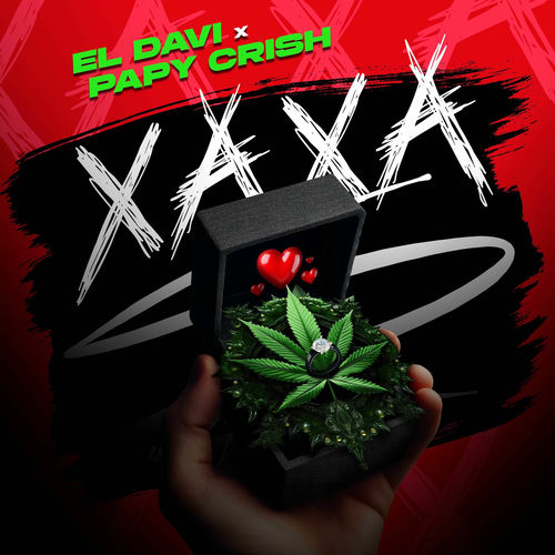 500x500 000000 80 0 0 24