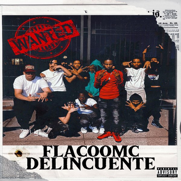 FLACOO-MC-DELINCUENTE