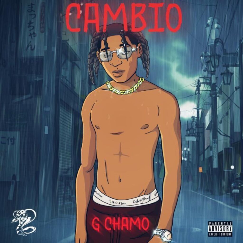 g chamo cambio