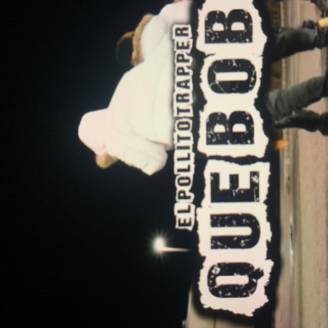 Pollito Trapper – Que Bobo